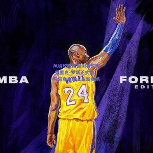 风城玫瑰终迎谢幕时刻 德里克-罗斯正式退役转身奔赴人生新赛场