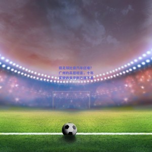 搞足球比造汽车还难？广州豹高层坦言，十年实现收支平衡已属不易