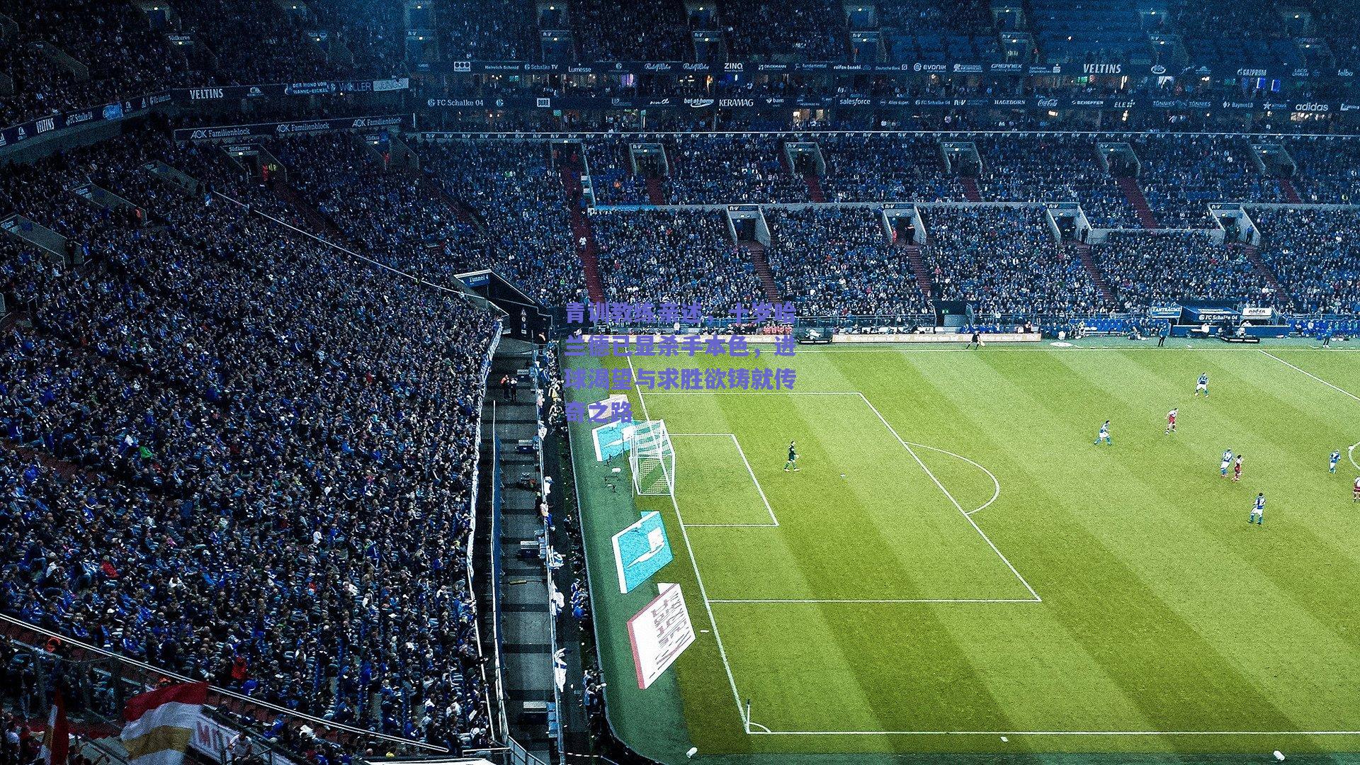 青训教练亲述，十岁哈兰德已显杀手本色，进球渴望与求胜欲铸就传奇之路